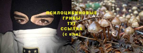 a pvp Верея