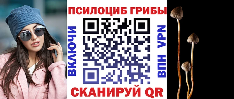 kraken ссылки  Находка  Псилоцибиновые грибы ЛСД 